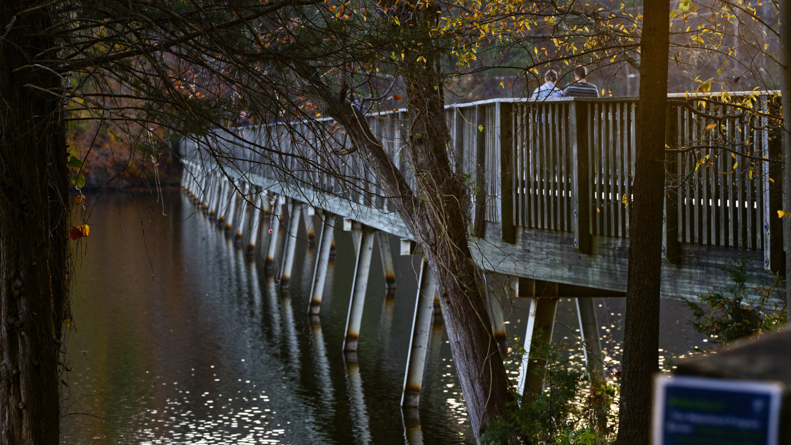 Pedestrian bridge at Lake Johnson in late afternoon light