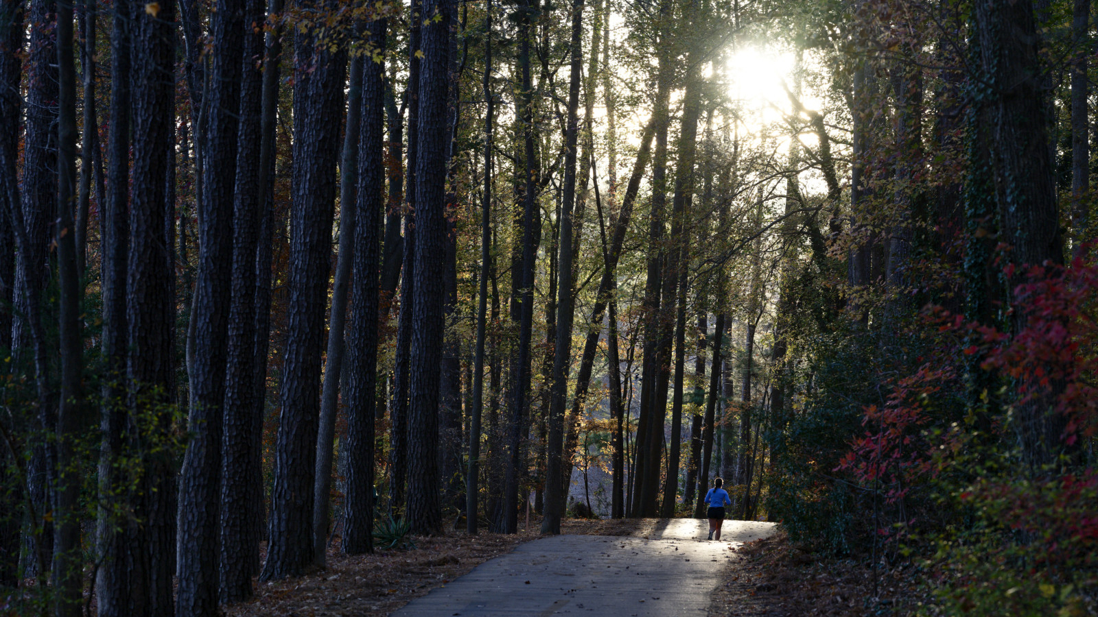Jogger on the Lake Johnson trail before sunset