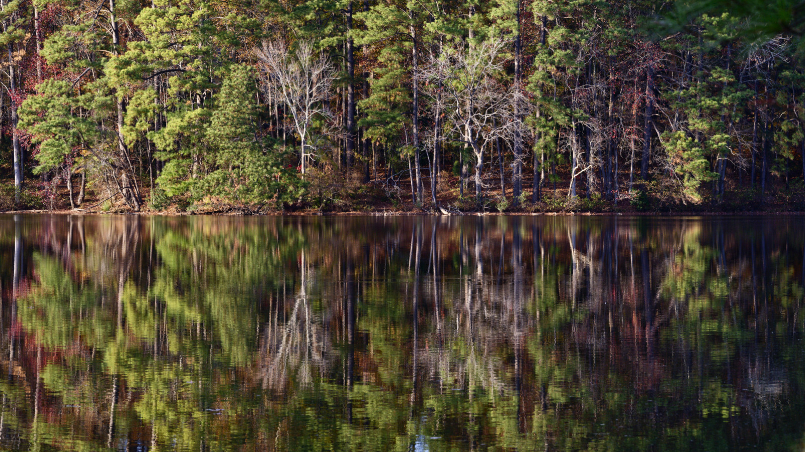 Reflections on Lake Johnson near sunset