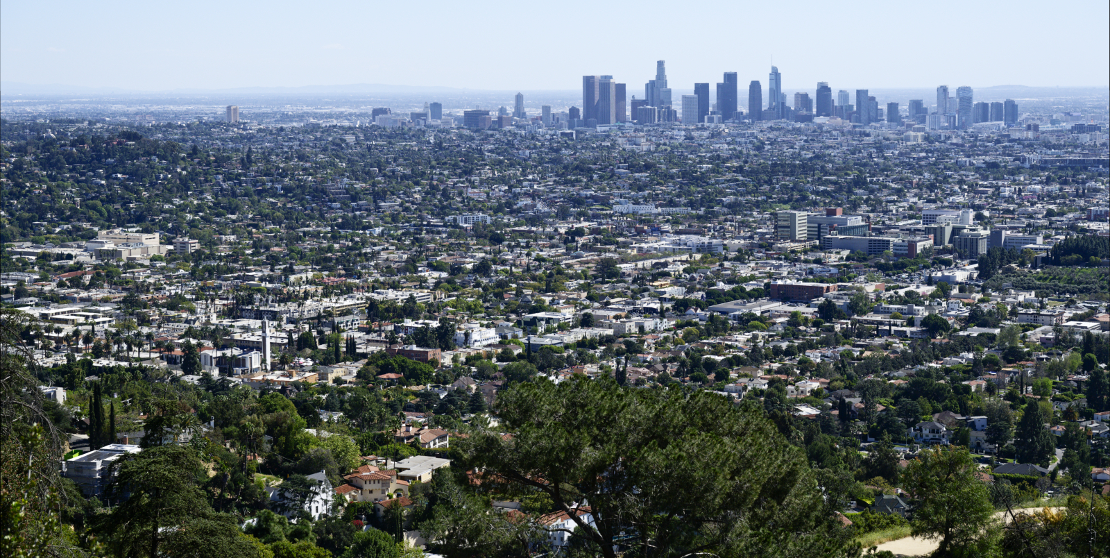 Downtown Los Angeles from Griffith Observatory