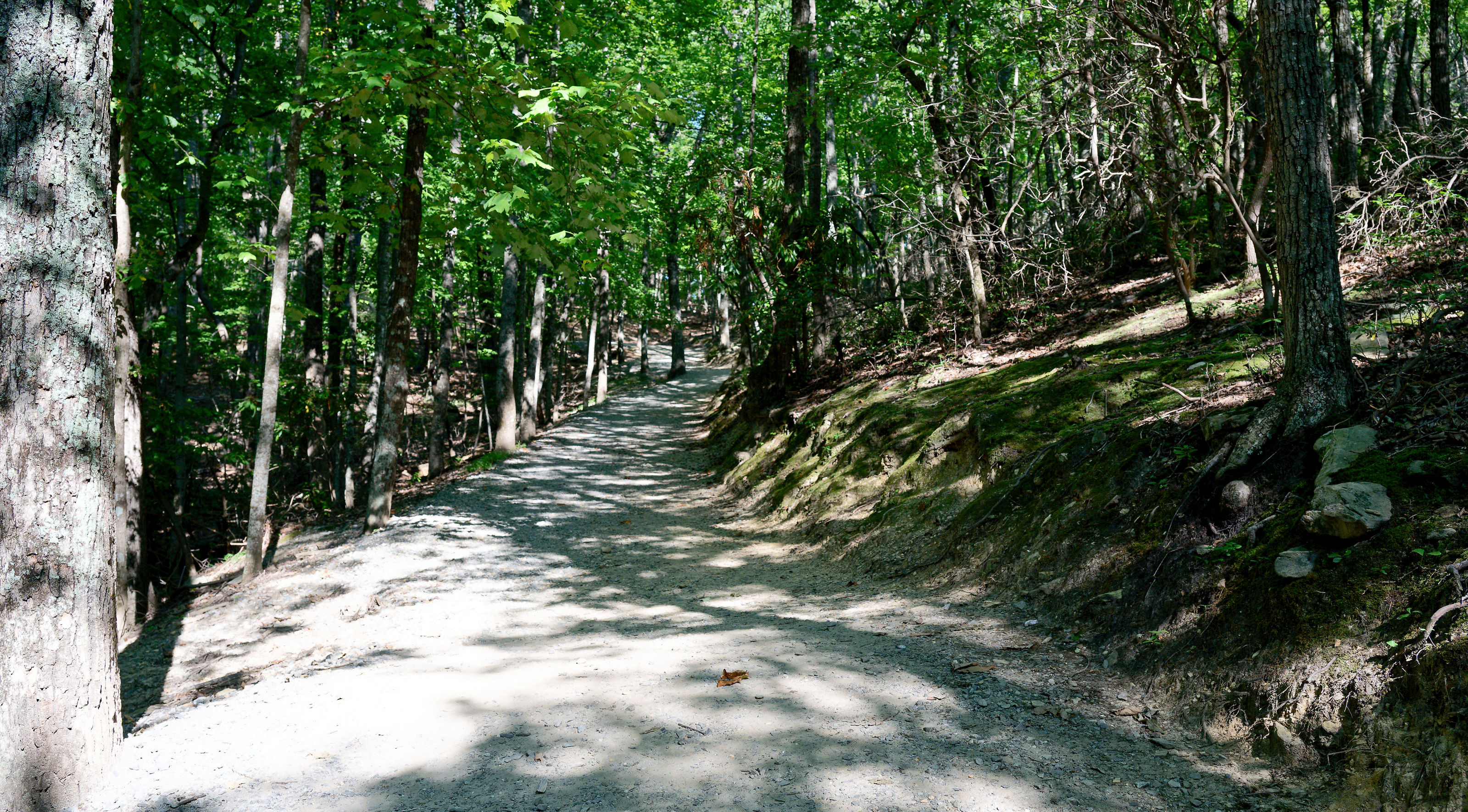 View from Hanging Rock