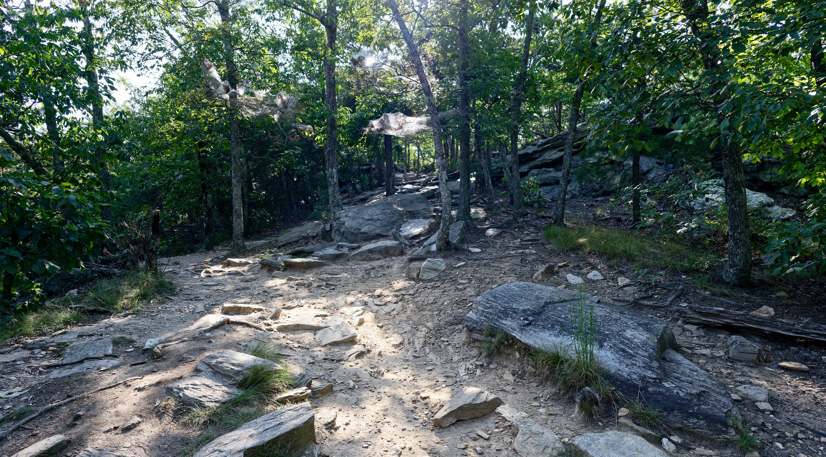 Rock formations at Hanging Rock