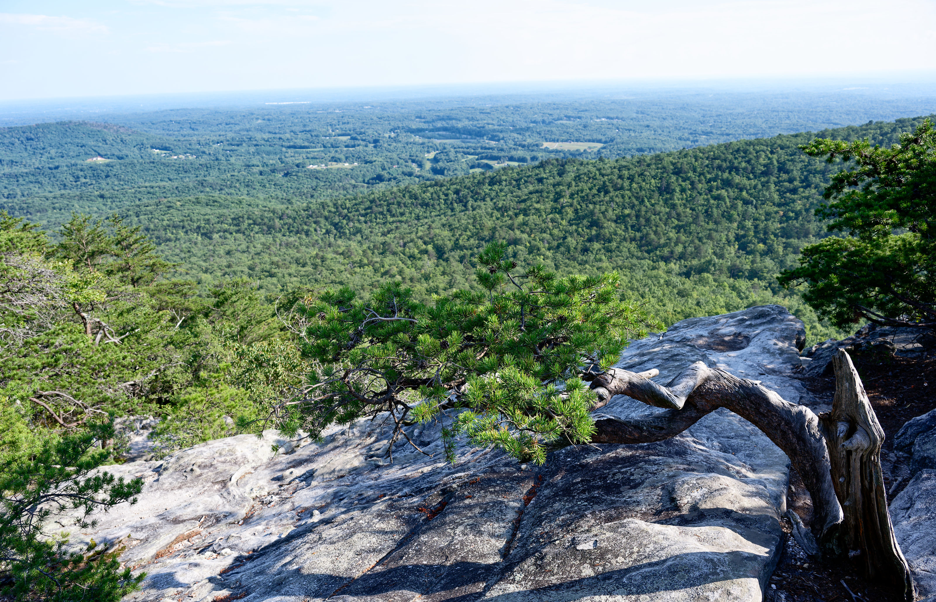 Hanging Rock overlook