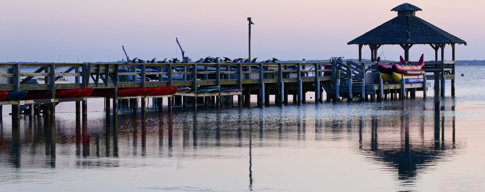 Greg Brew - Photographer