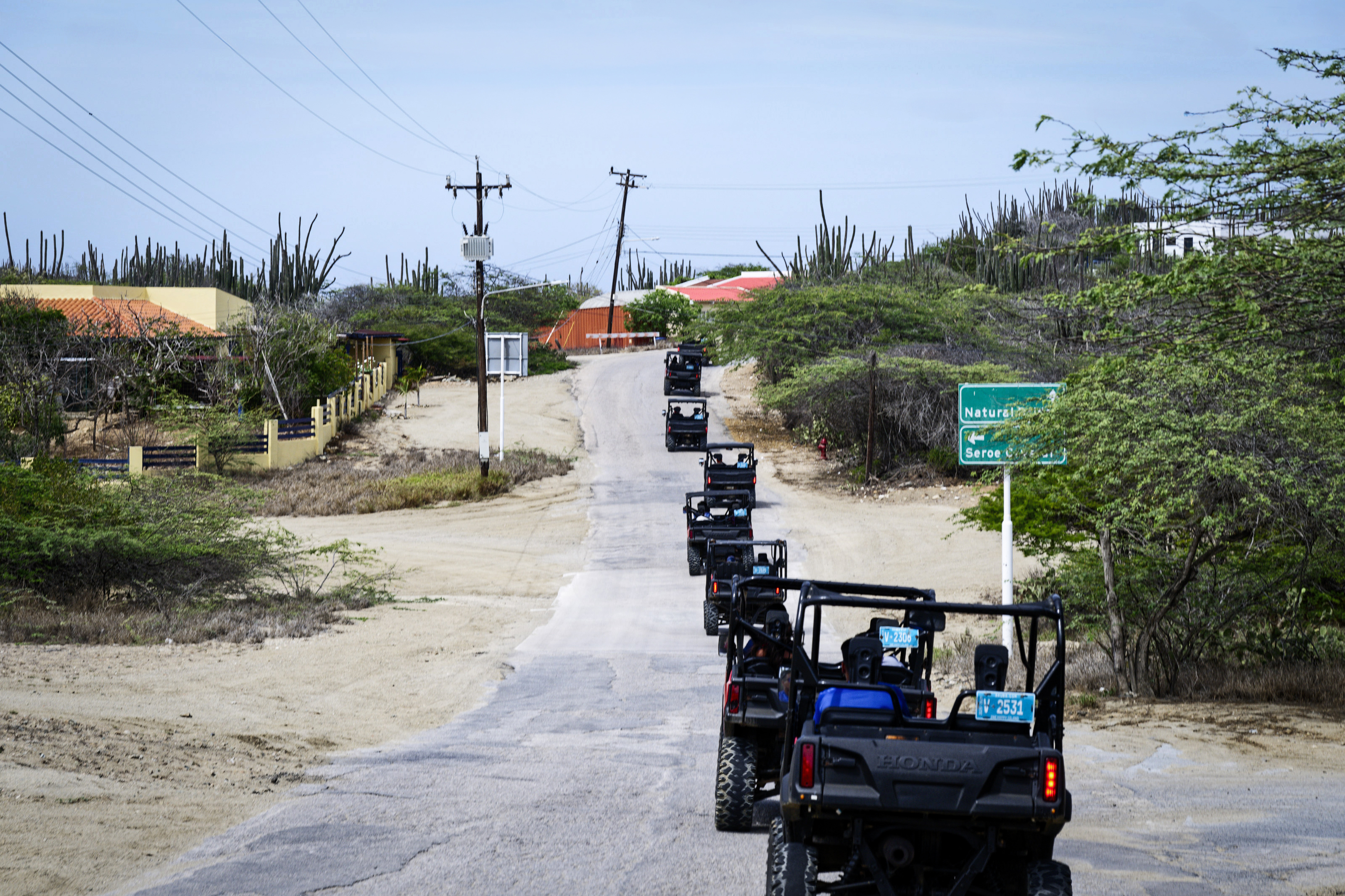 Aruba placeholder 5