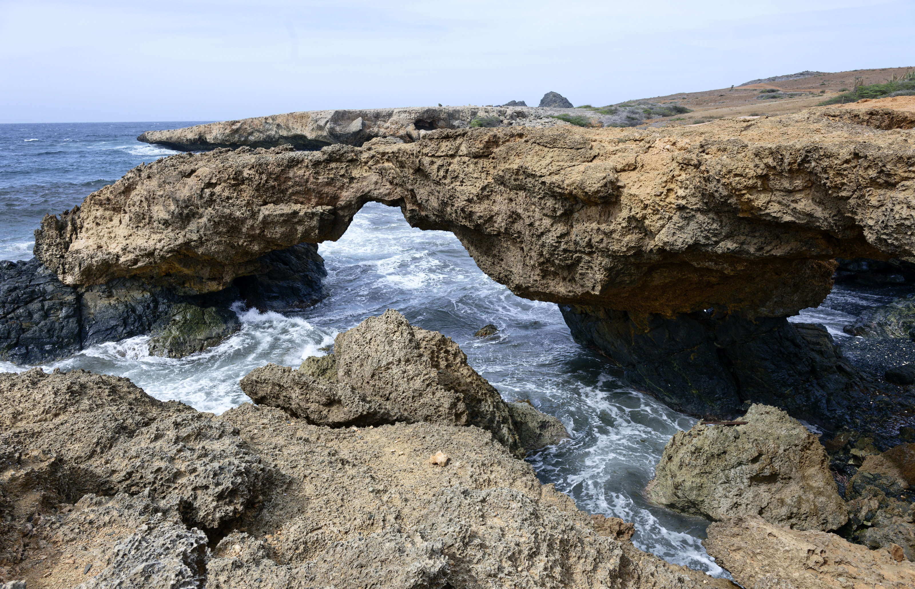 Aruba placeholder 7