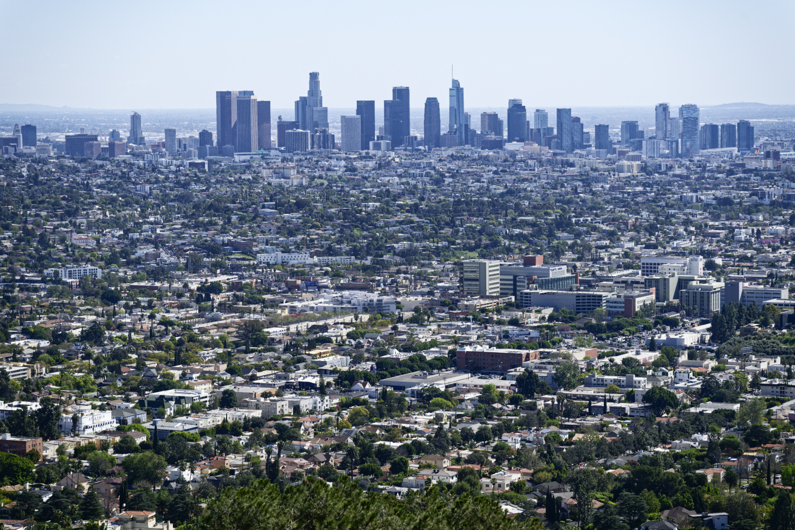 LA