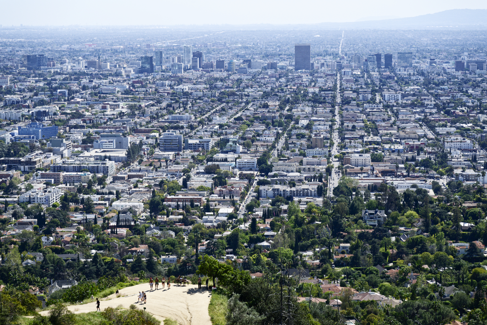 California placeholder 8